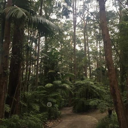春溪山区小屋旅馆 外观 照片