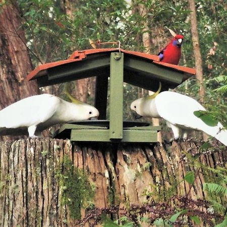 春溪山区小屋旅馆 外观 照片