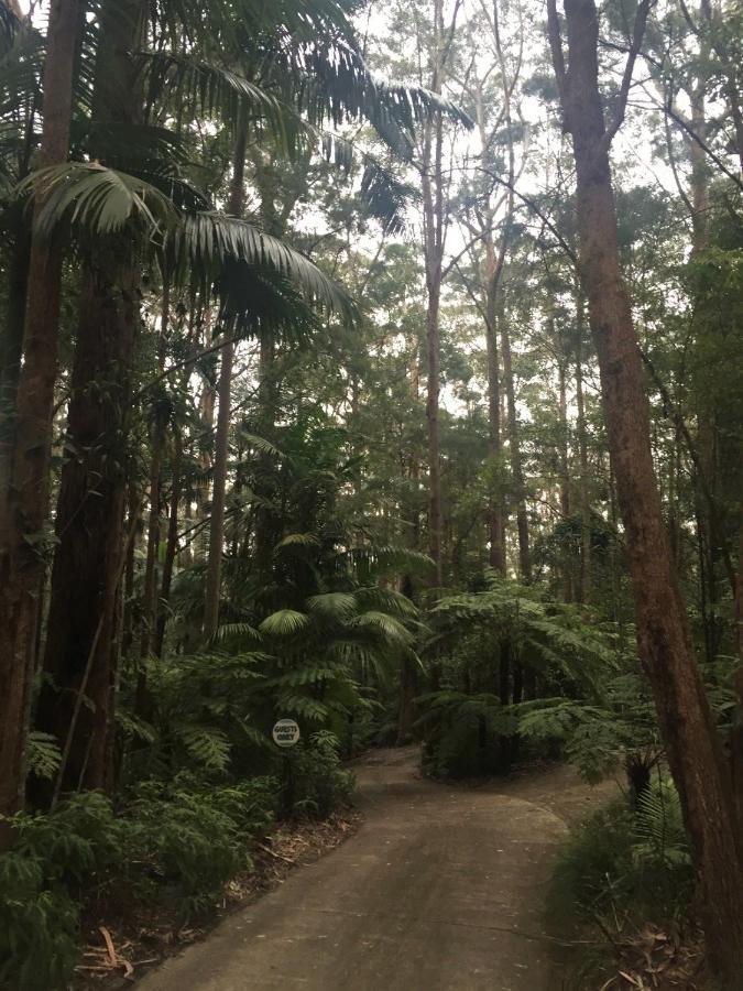 春溪山区小屋旅馆 外观 照片