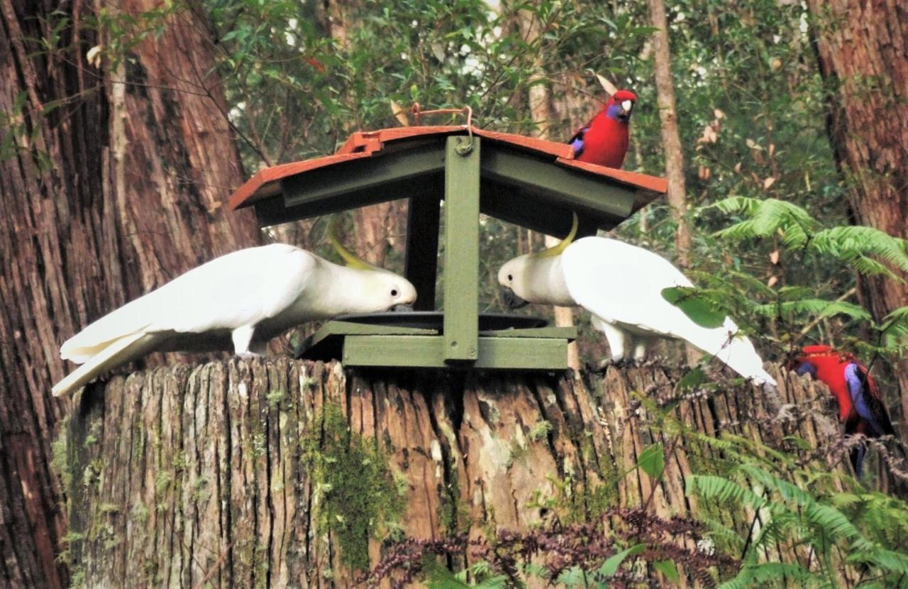春溪山区小屋旅馆 外观 照片